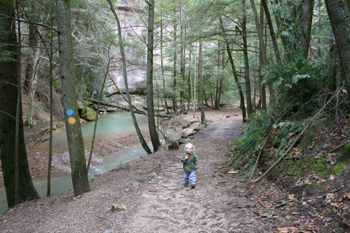 Cedar Falls - Hocking Hills State Park