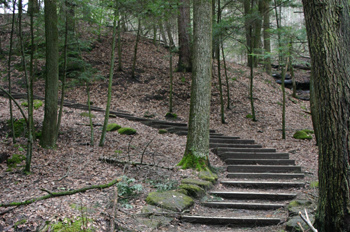 Cedar Falls - Hocking Hills State Park